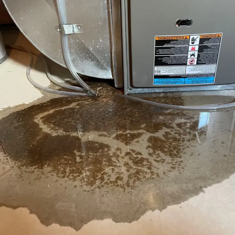 Pipe Burst and Leak Restoration in Oxon Hill, MD